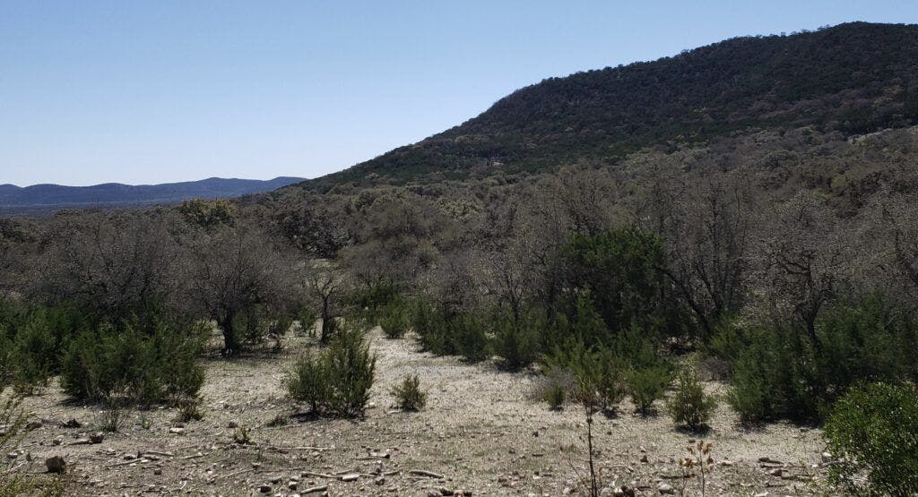 elm-creek-stables-004