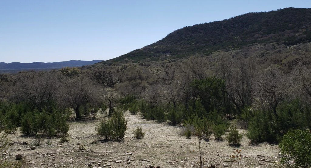 elm-creek-stables-004