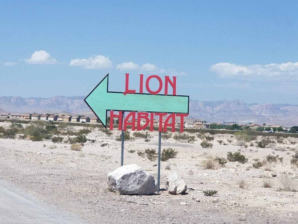 lion-habitat-ranch-002