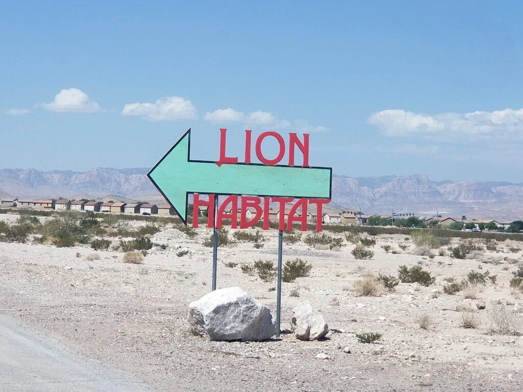 lion-habitat-ranch-002