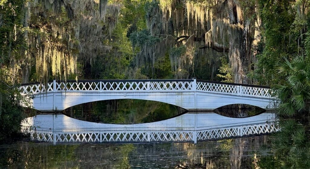 magnolia-plantation-and-gardens-003