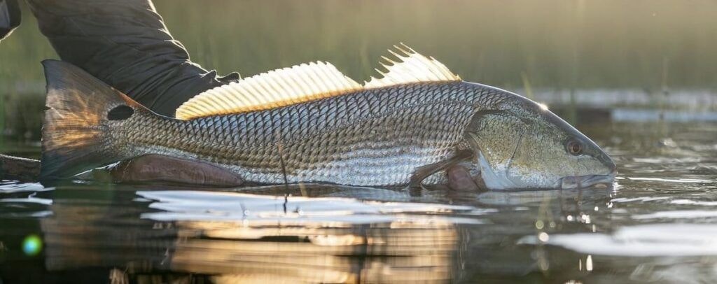 historic-coast-outfitters-001