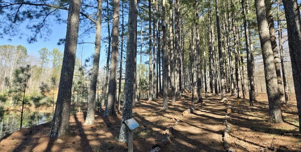J.D. & Annie S. Hays Nature Preserve