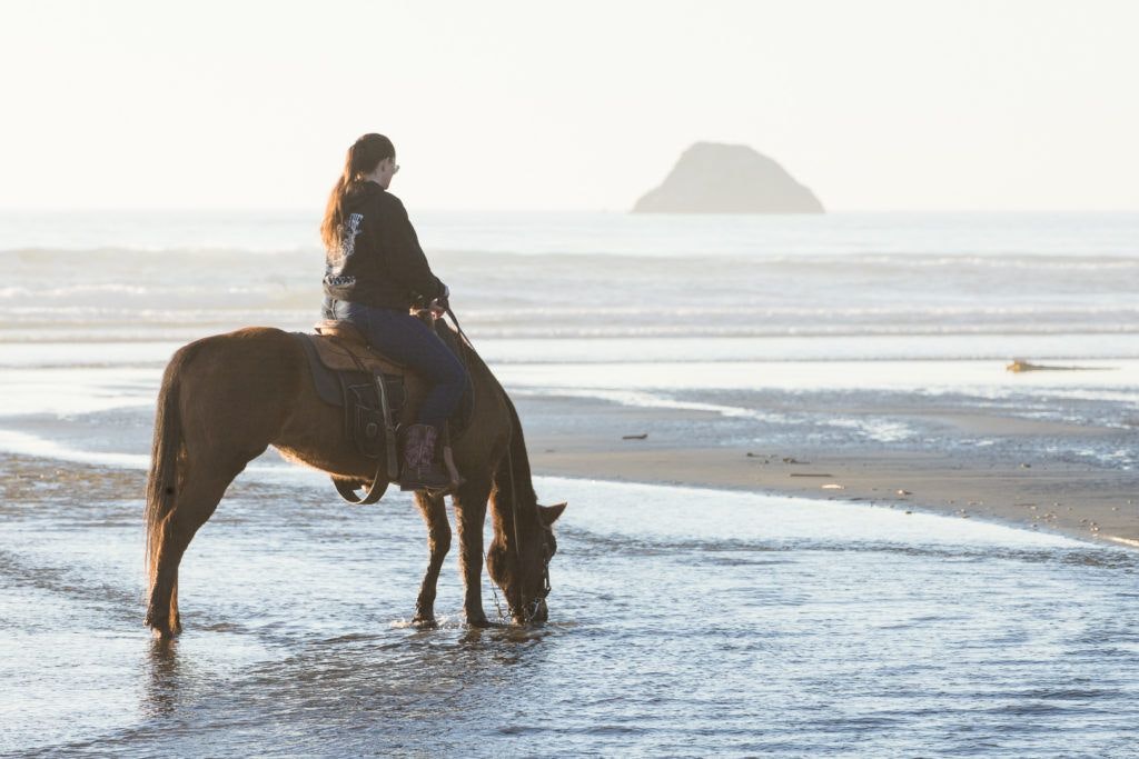 moonstone-beach-county-park-009