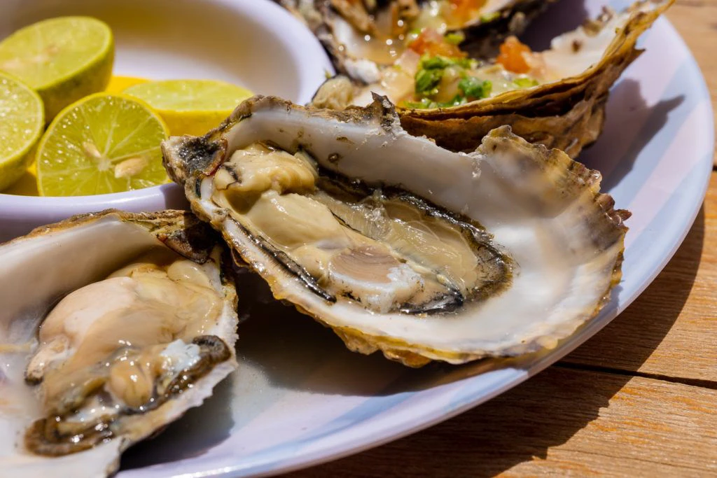 el-barco-ostionera-y-restaurante-oyster-farm-010