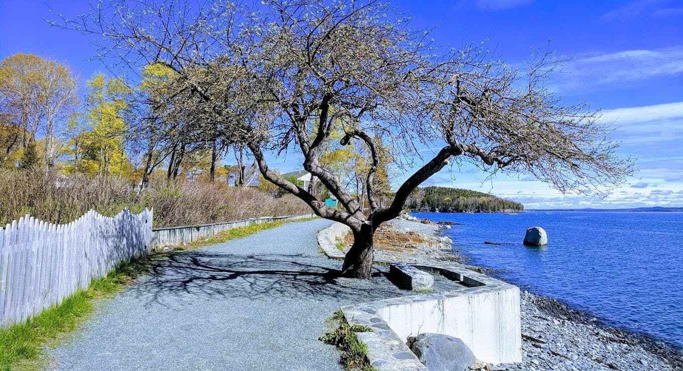 Bar Harbor Shore Path 4.jpeg