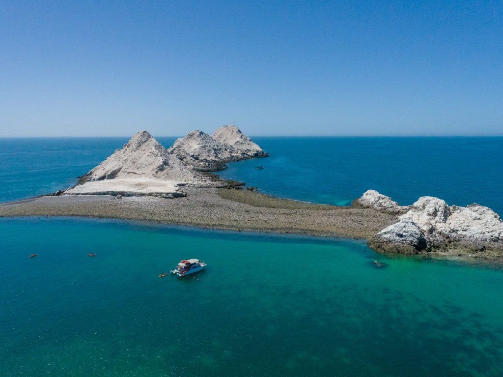 bird-island-isla-san-jorge-007