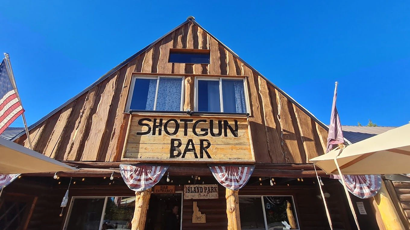 Shotgun 5.jpeg