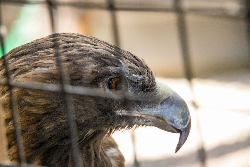 sunriver-nature-center-and-oregon-observatory-025