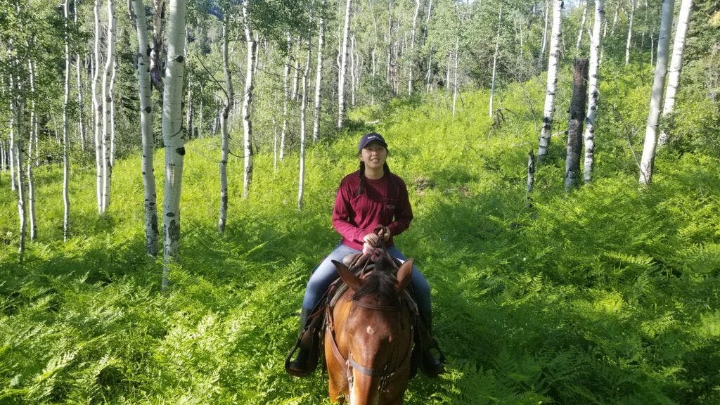 Lake of the Ozarks Trail Rldes