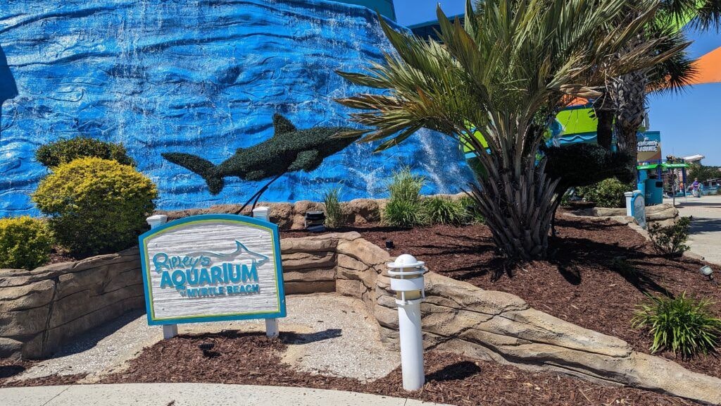 ripley-s-aquarium-of-myrtle-beach-002