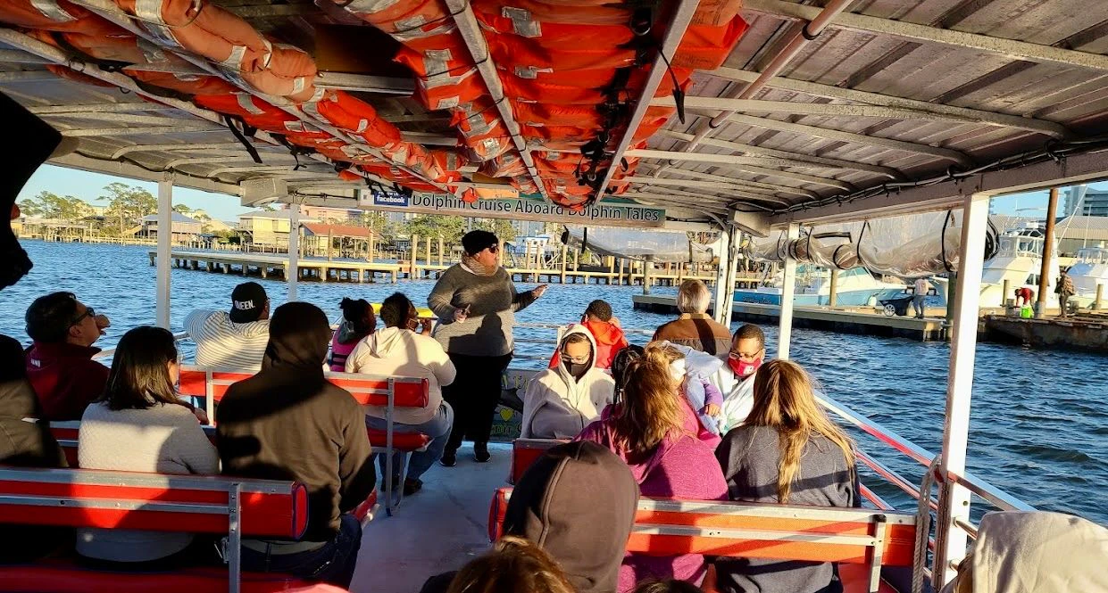 Dolphin Cruise 5.jpeg