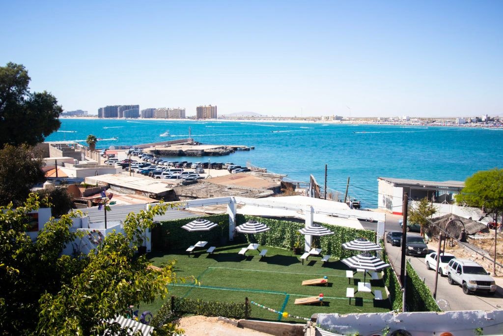 grapes-and-barley-003