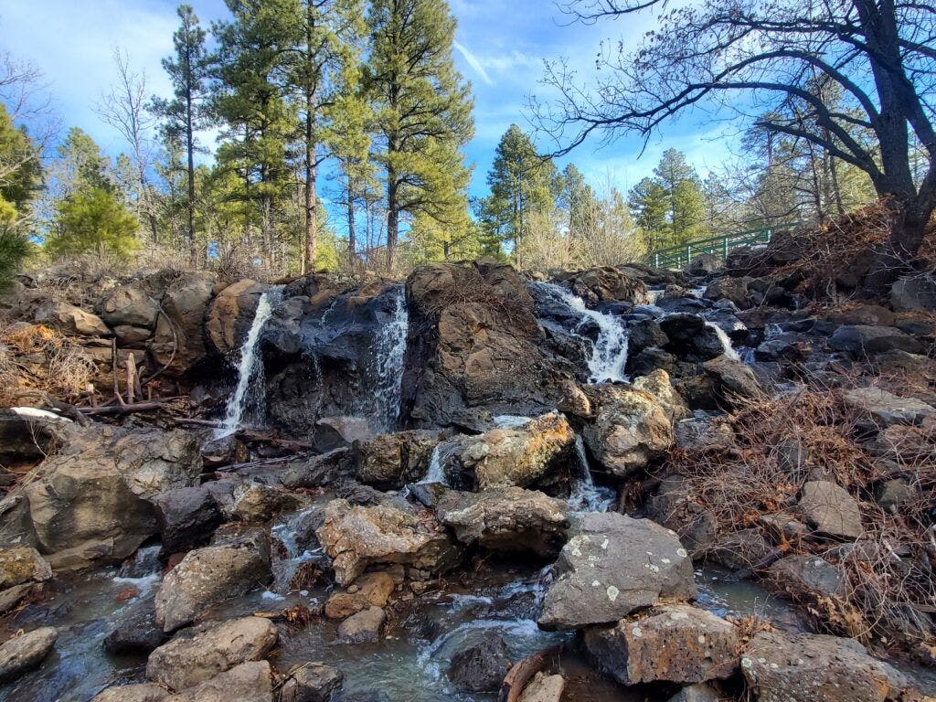 woodland-lake-park-002