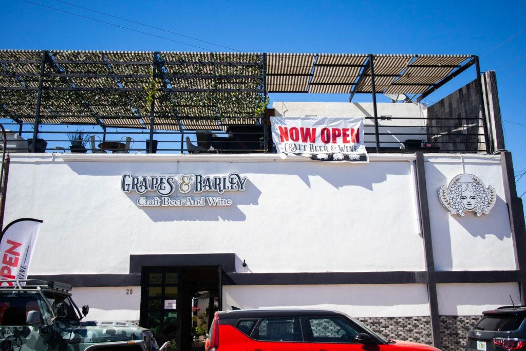 grapes-and-barley-028