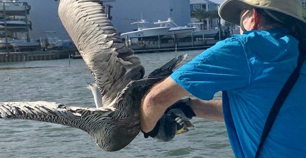 marine-discovery-center-003