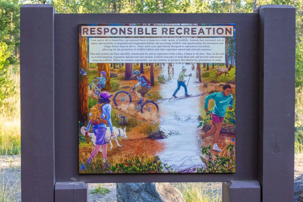 cardinal-landing-bridge-003