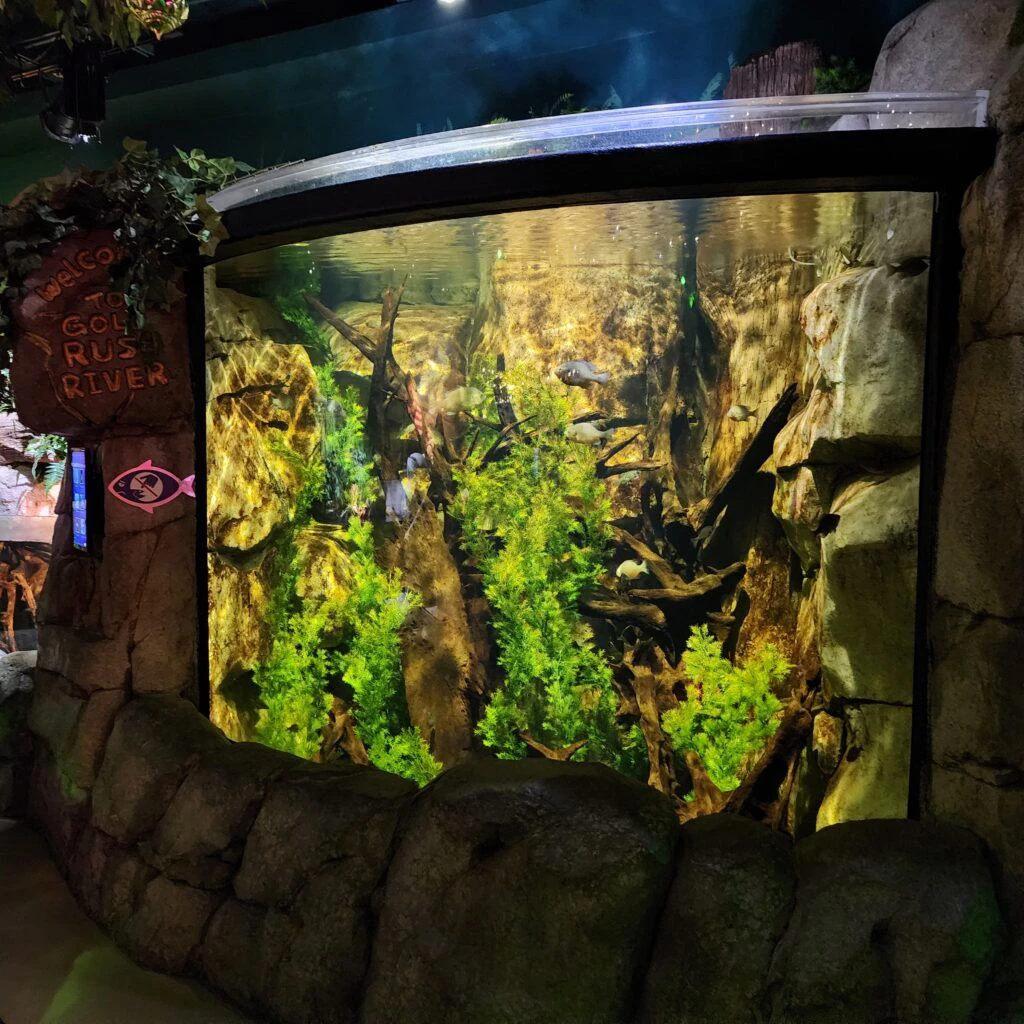 sea-life-aquarium-022