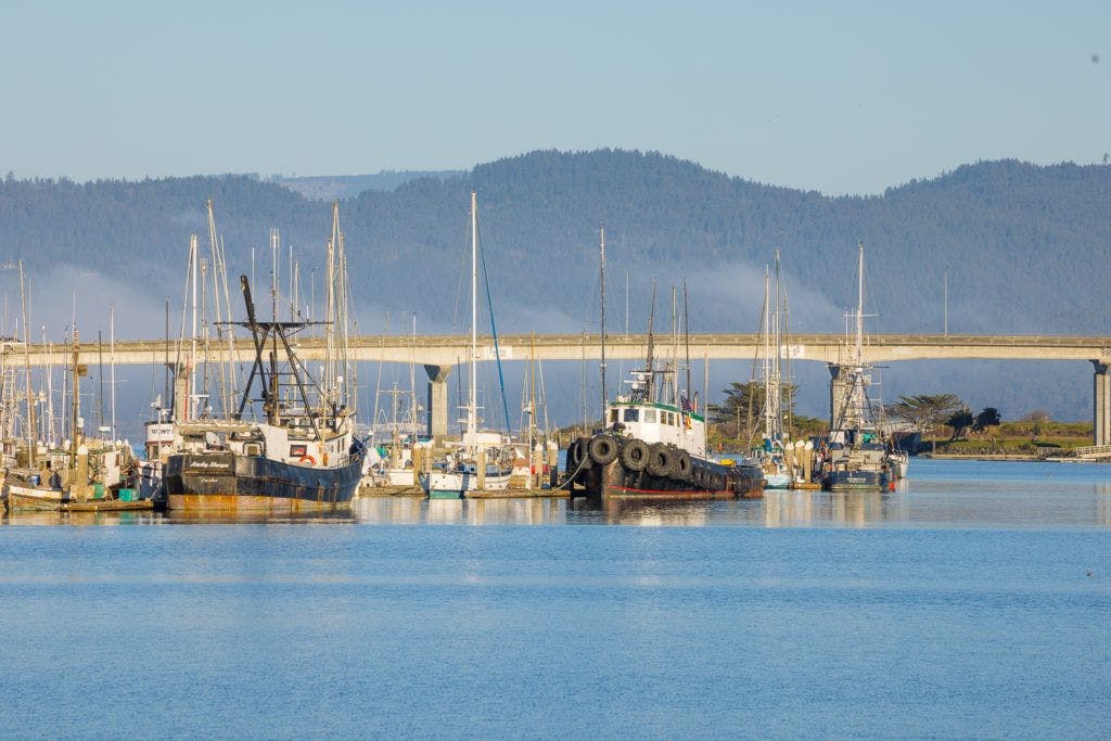 eureka-waterfront-and-old-town-016