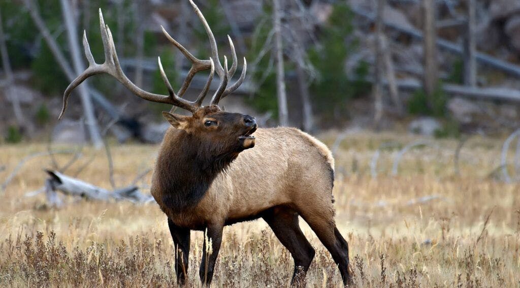 MK Nature Center - Idaho Fish and Game