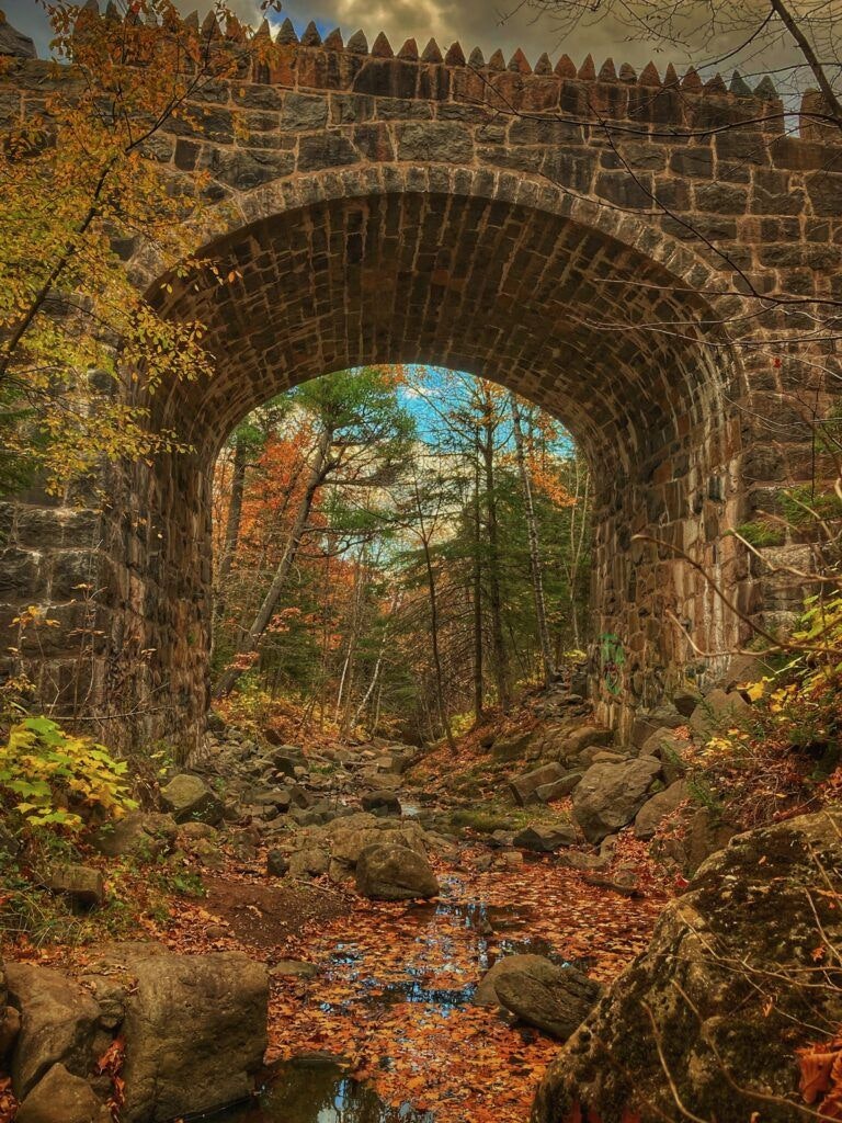 magney-snively-natural-area-001