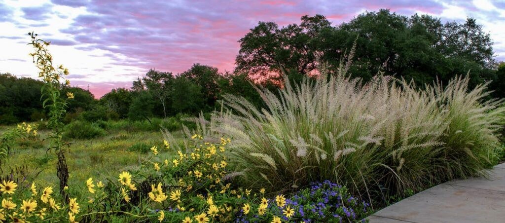 lady-bird-johnson-wildflower-center-002