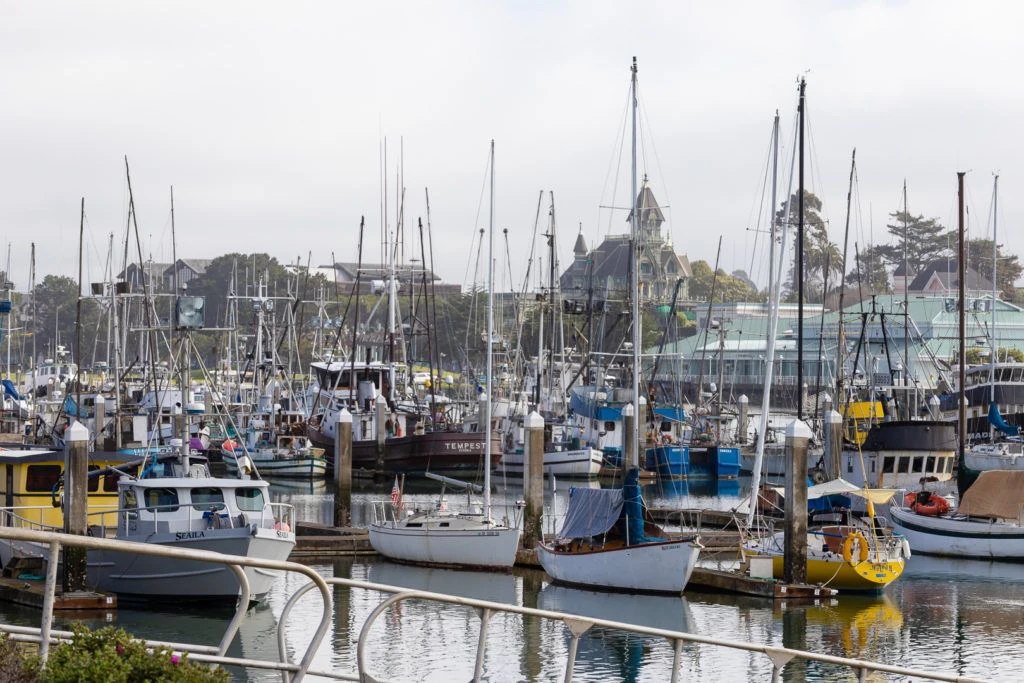 woodley-island-marina-006