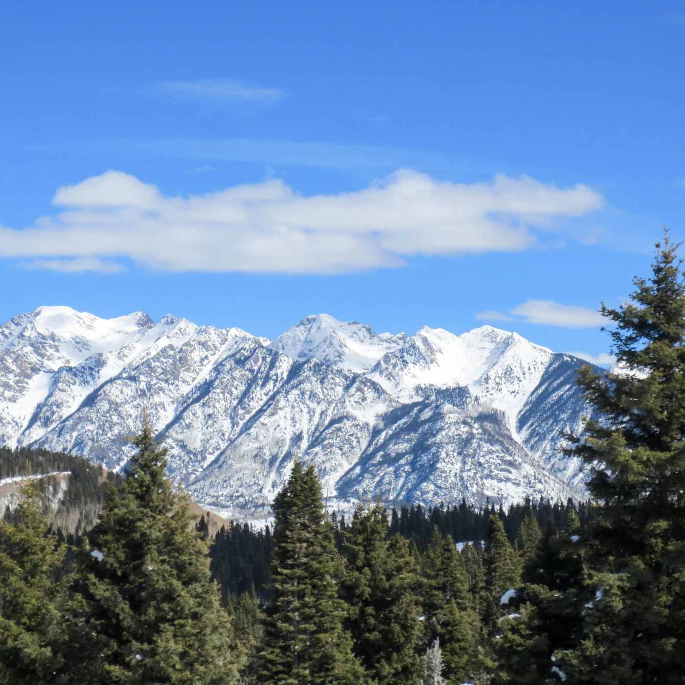 AdobeStock_138022574.jpeg