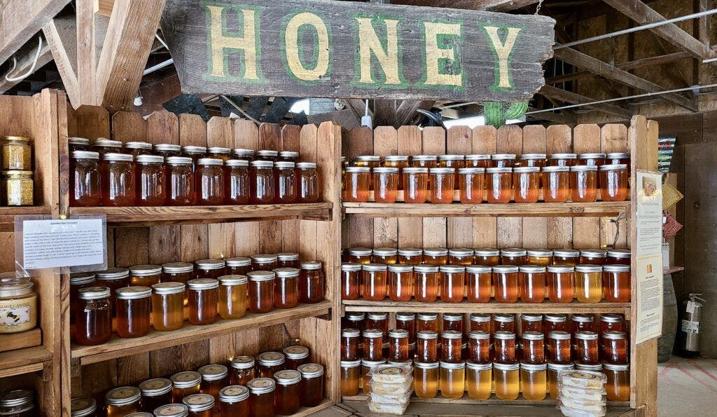 avila-valley-barn-004