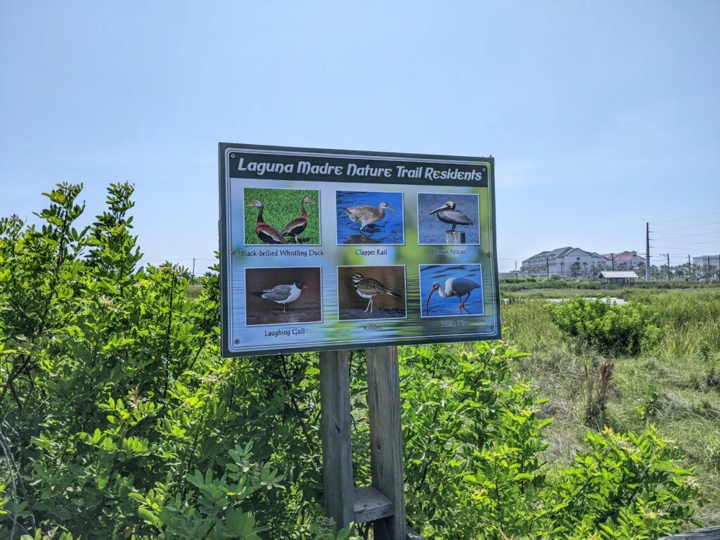 laguna-madre-nature-trail-002