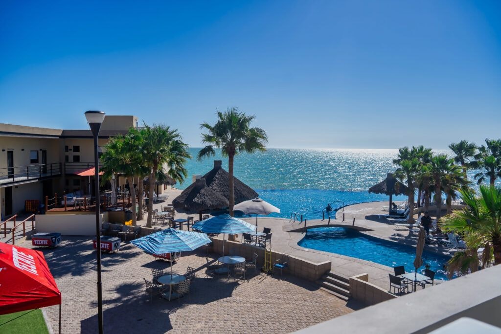 infusion-del-golfo-002