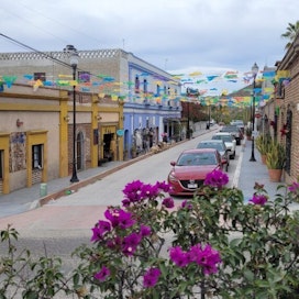 Calle Juarez