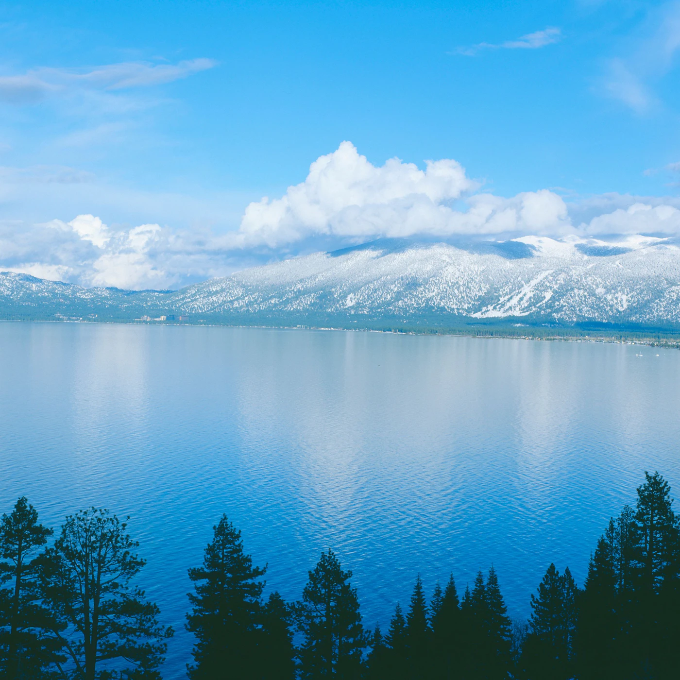 AdobeStock_315228864.jpeg