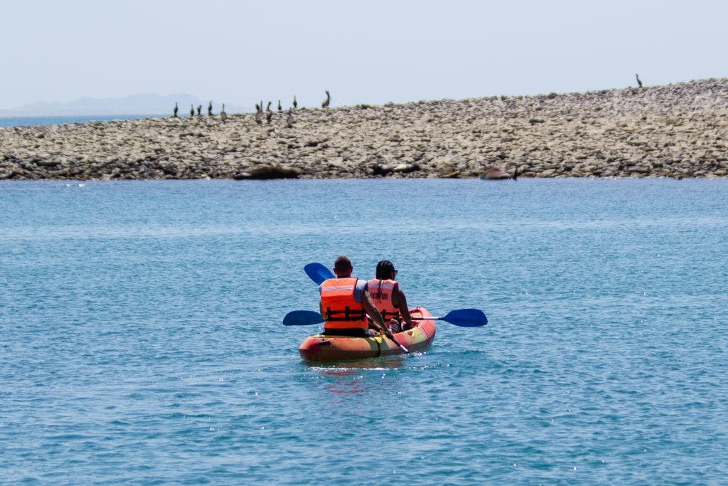 bird-island-isla-san-jorge-017