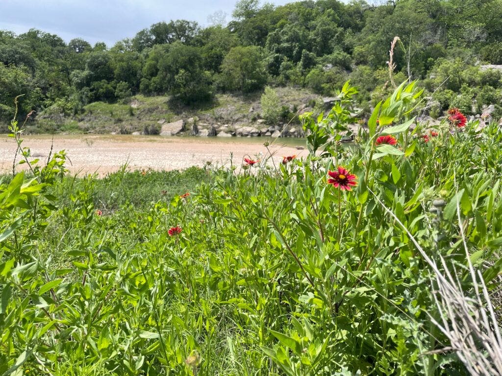 milton-reimers-ranch-park-006