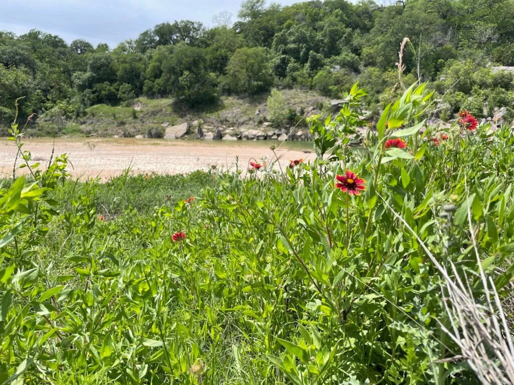 milton-reimers-ranch-park-006