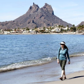 Unique Things to do in San Carlos