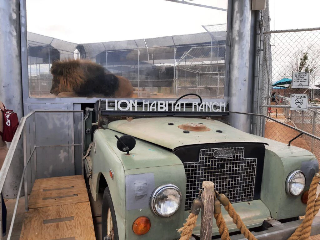 lion-habitat-ranch-003