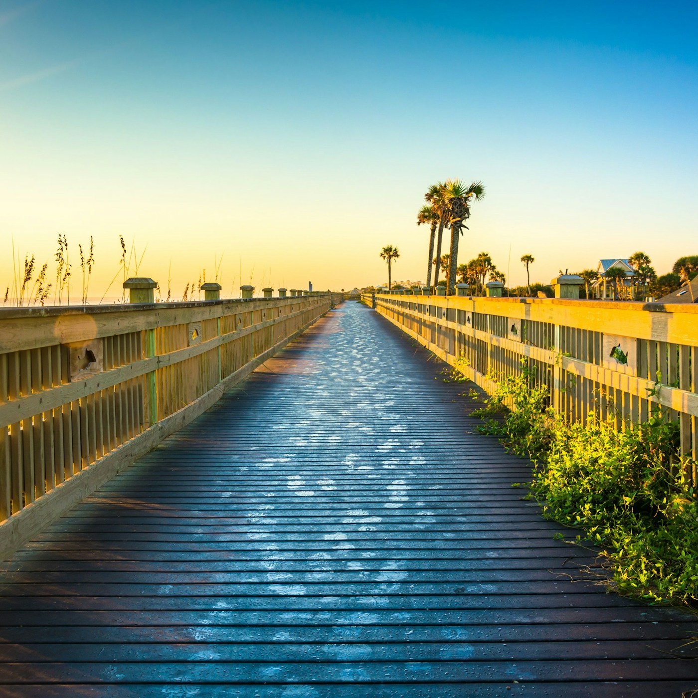 PalmCoast-Welcome-AdobeStock_75000116.jpeg