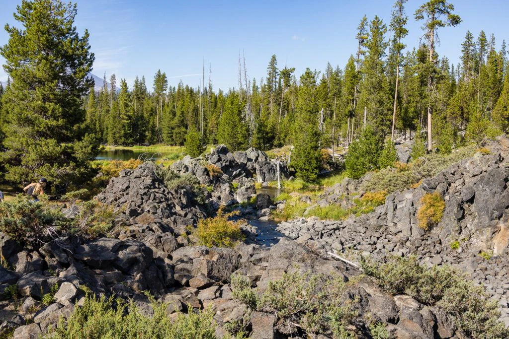 brews-and-views-canoe-tour-cascade-lakes-by-wanderlust-tours-052