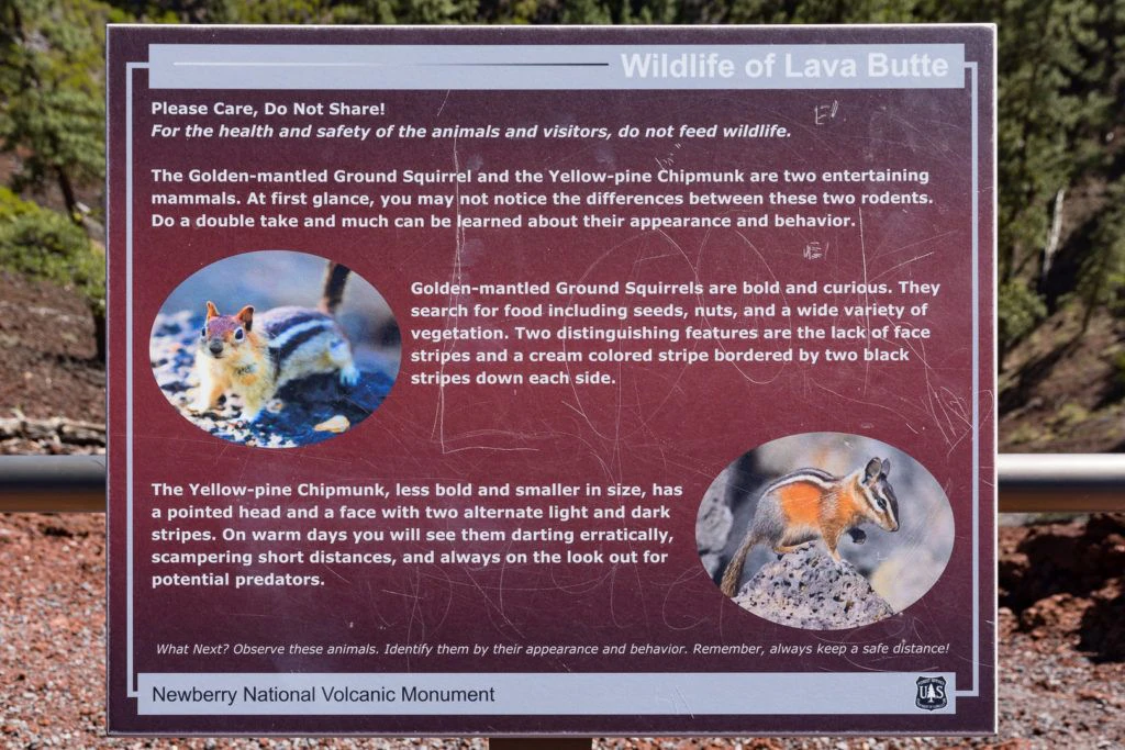 lava-butte-and-lands-visitor-center-044