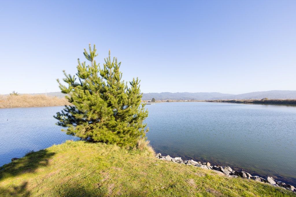 arcata-marsh-and-wildlife-sanctuary-004