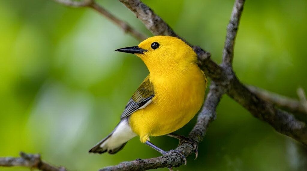 j-d-and-annie-s-hays-nature-preserve-002