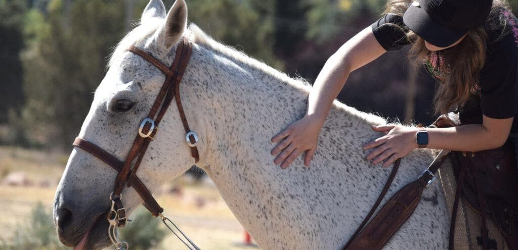 kb-horses-at-red-ledges-003