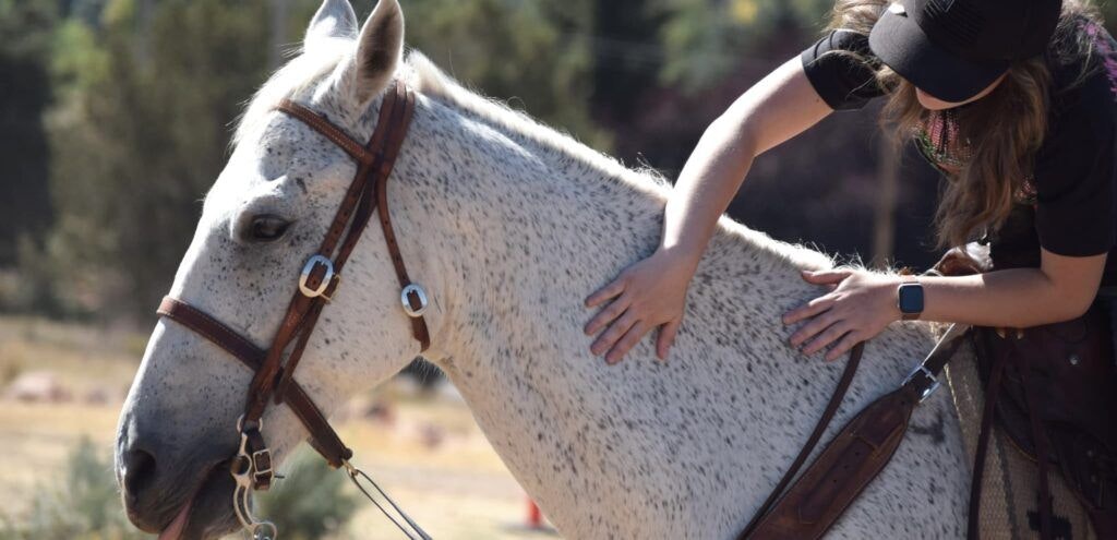 kb-horses-at-red-ledges-003
