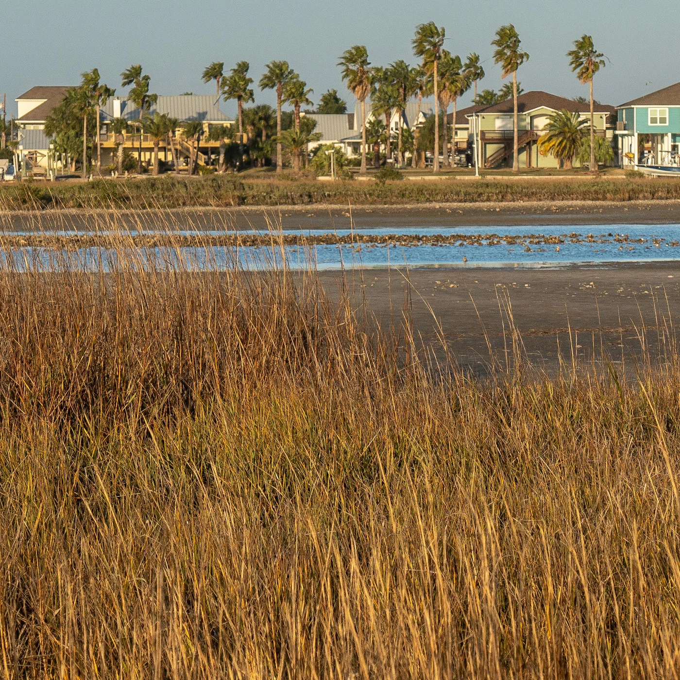 AdobeStock_407104566.jpeg