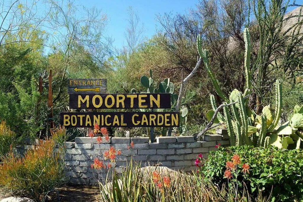 moorten-botanical-garden-001