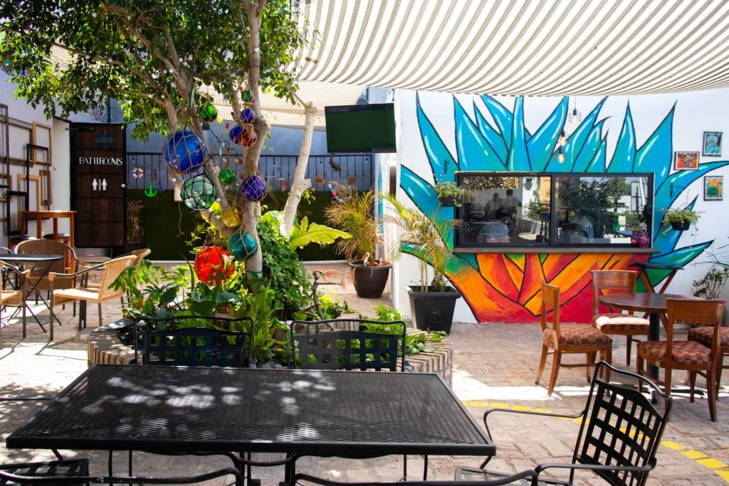 grapes-and-barley-018