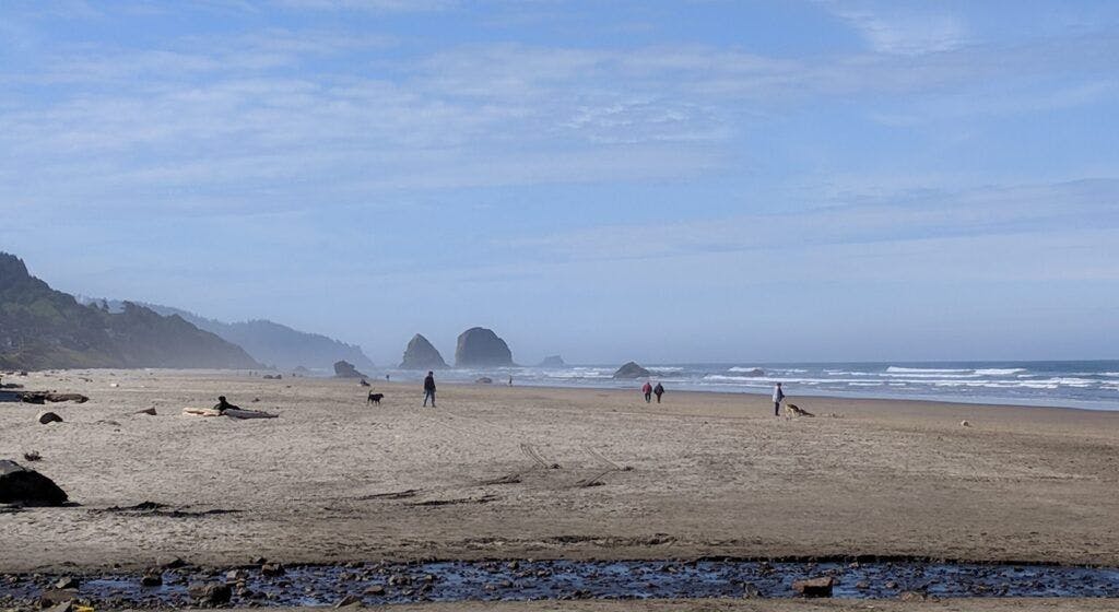 tolovana-beach-state-recreation-site-004