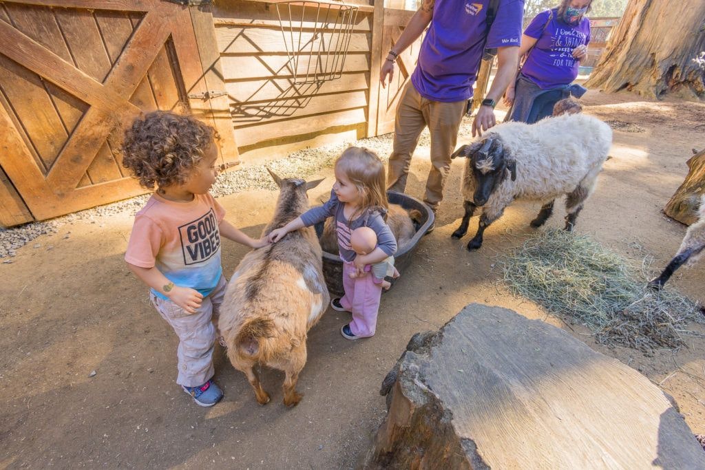sequoia-park-zoo-and-redwood-sky-walk-001